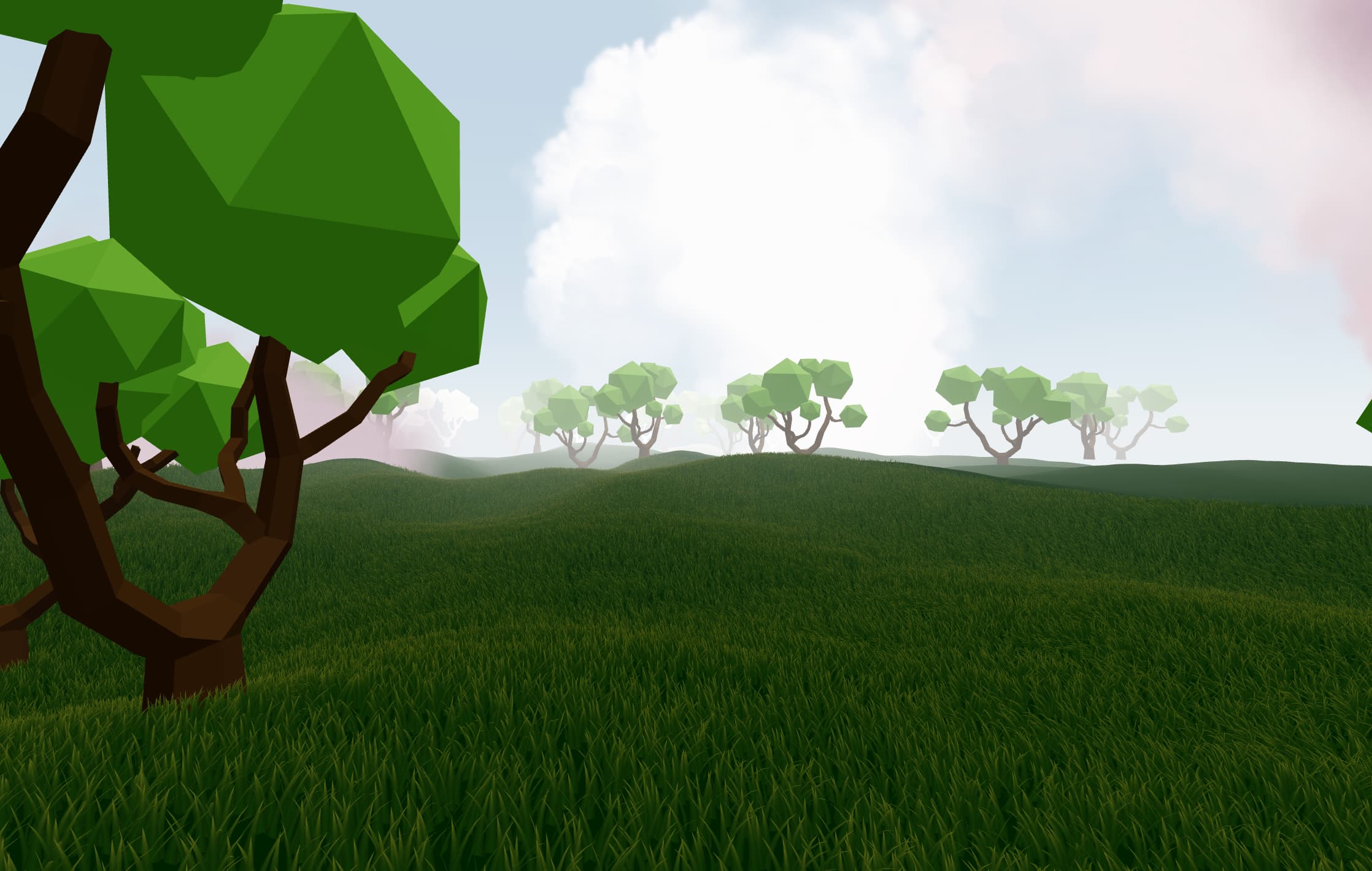 3D Game Environment